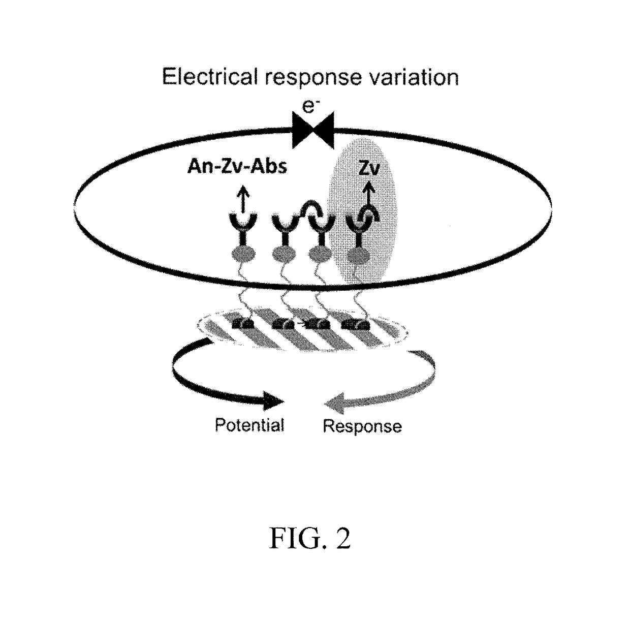 Rapid zika virus detection using nano-enabled electrochemical sensing system