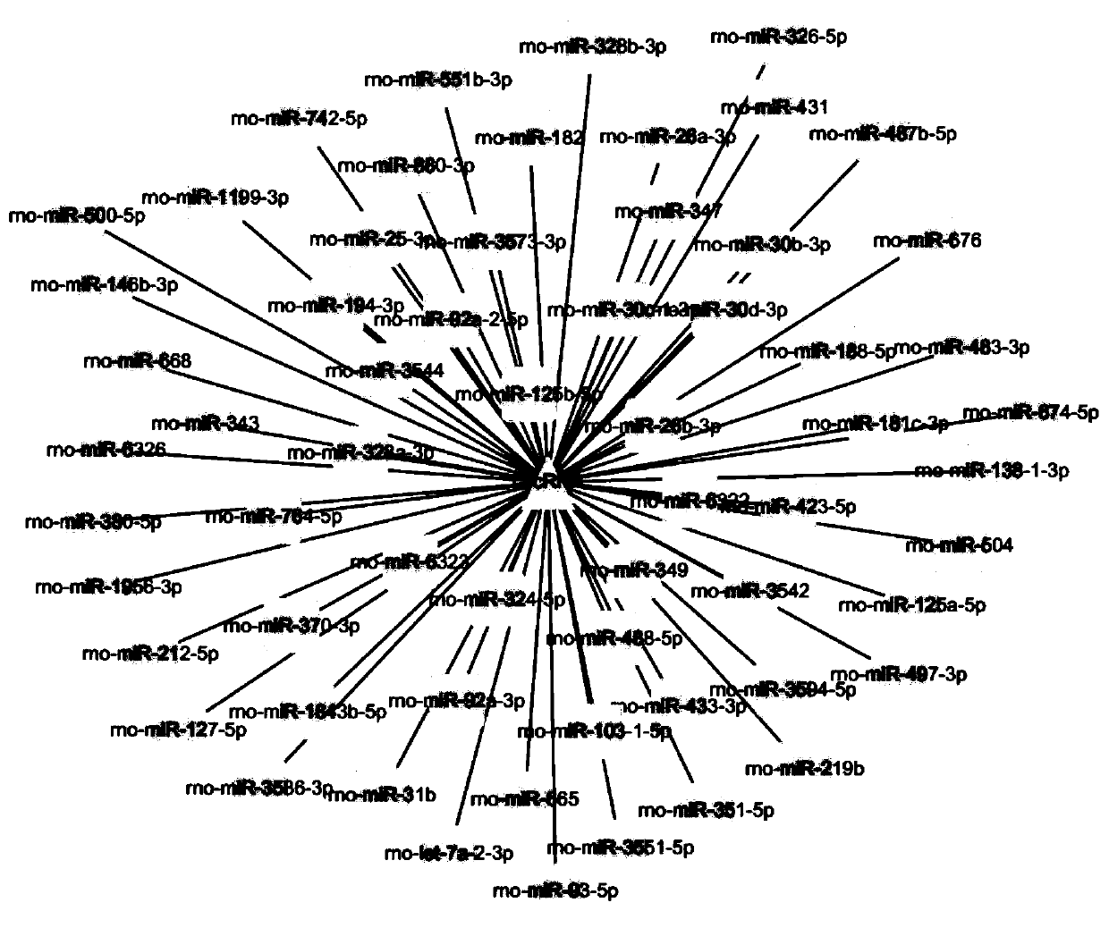 Hypoxic-ischemic brain damage diagnosis target and application