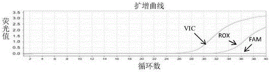 Method and kit for detecting ADRB1 gene single nucleotide polymorphic site