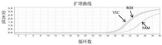 Method and kit for detecting ADRB1 gene single nucleotide polymorphic site