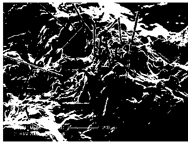 Sample preparation method of scanning electron microscope of basalt fiber and asphalt mixed material fracture