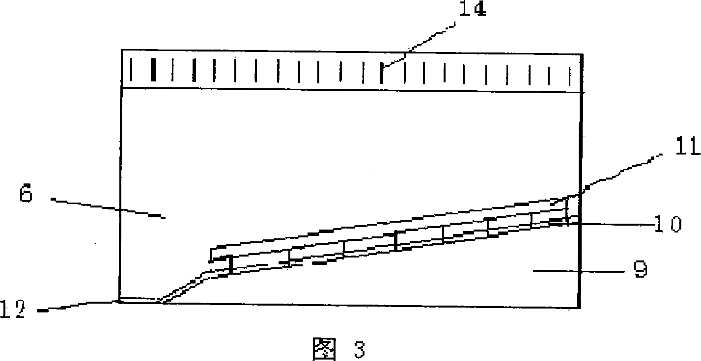 Integrated cultivation simple house for Chinese forest frog and its complement cultivating technology