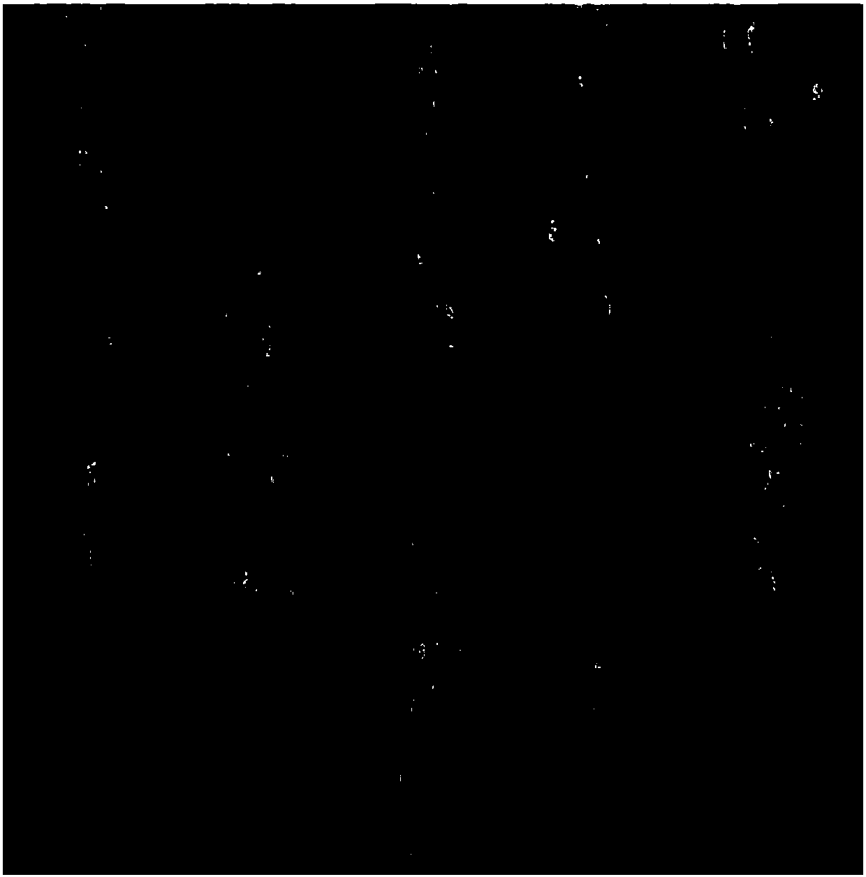 Bionic skin dressing with 3D micropattern structure and preparation method thereof