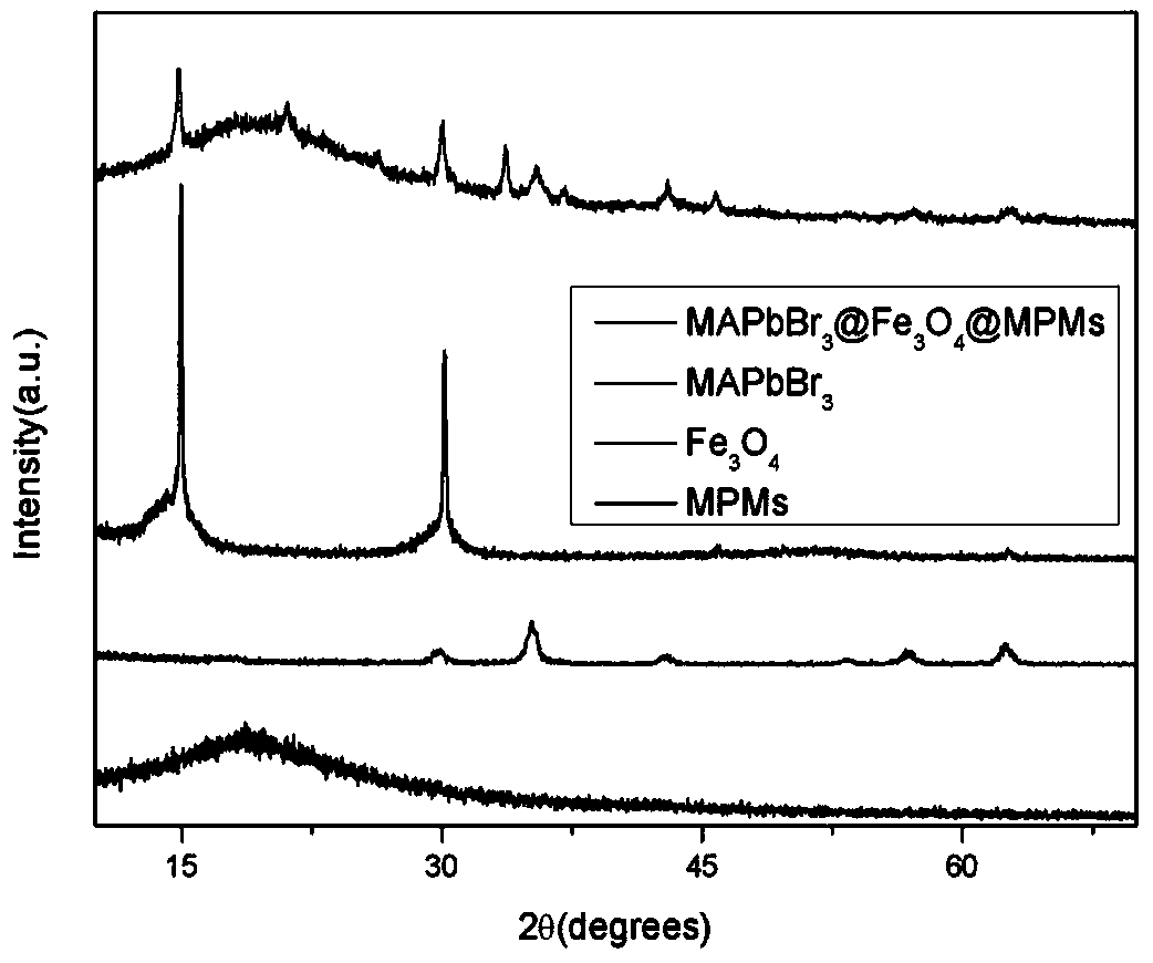 High-brightness stable perovskite magneto-optical microsphere for CTC capture