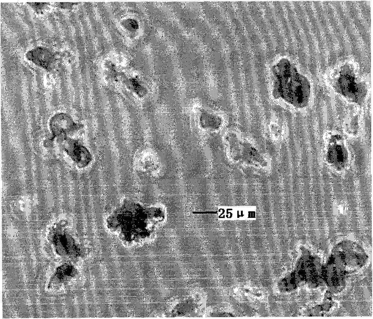 Method for preparing powdery cheese and obtained powdery cheese