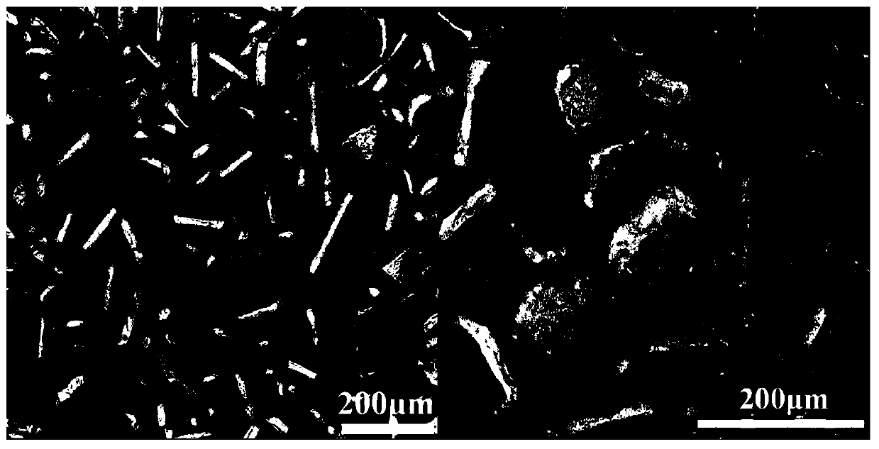 Insulation coating device and coating process for high-efficiency metal magnetic powder