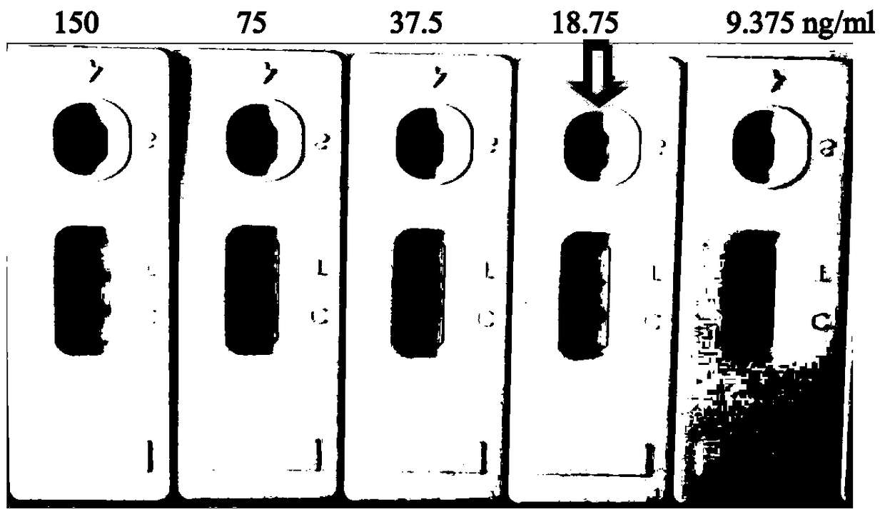 Monoclonal antibody against avian leukosis virus p27 protein, gold standard test strip containing the monoclonal antibody and application thereof