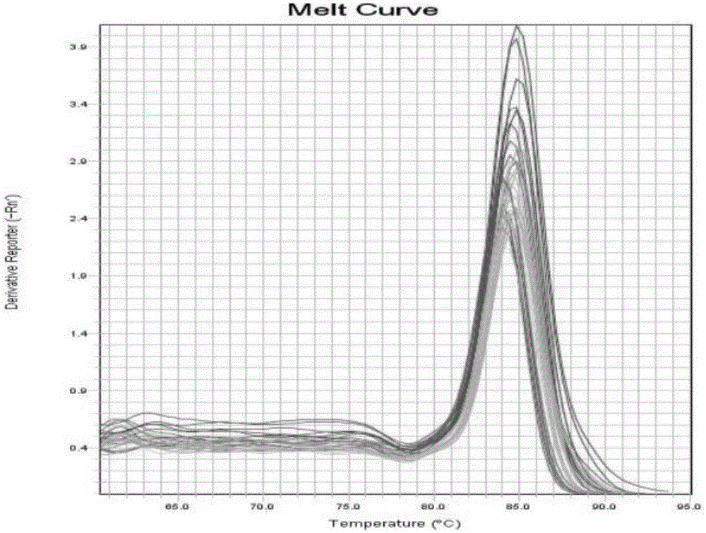 Circular RNA-MET gene in liver cancer as well as expression method and fluorescent quantitative PCR detection method of circular RNA-MET gene