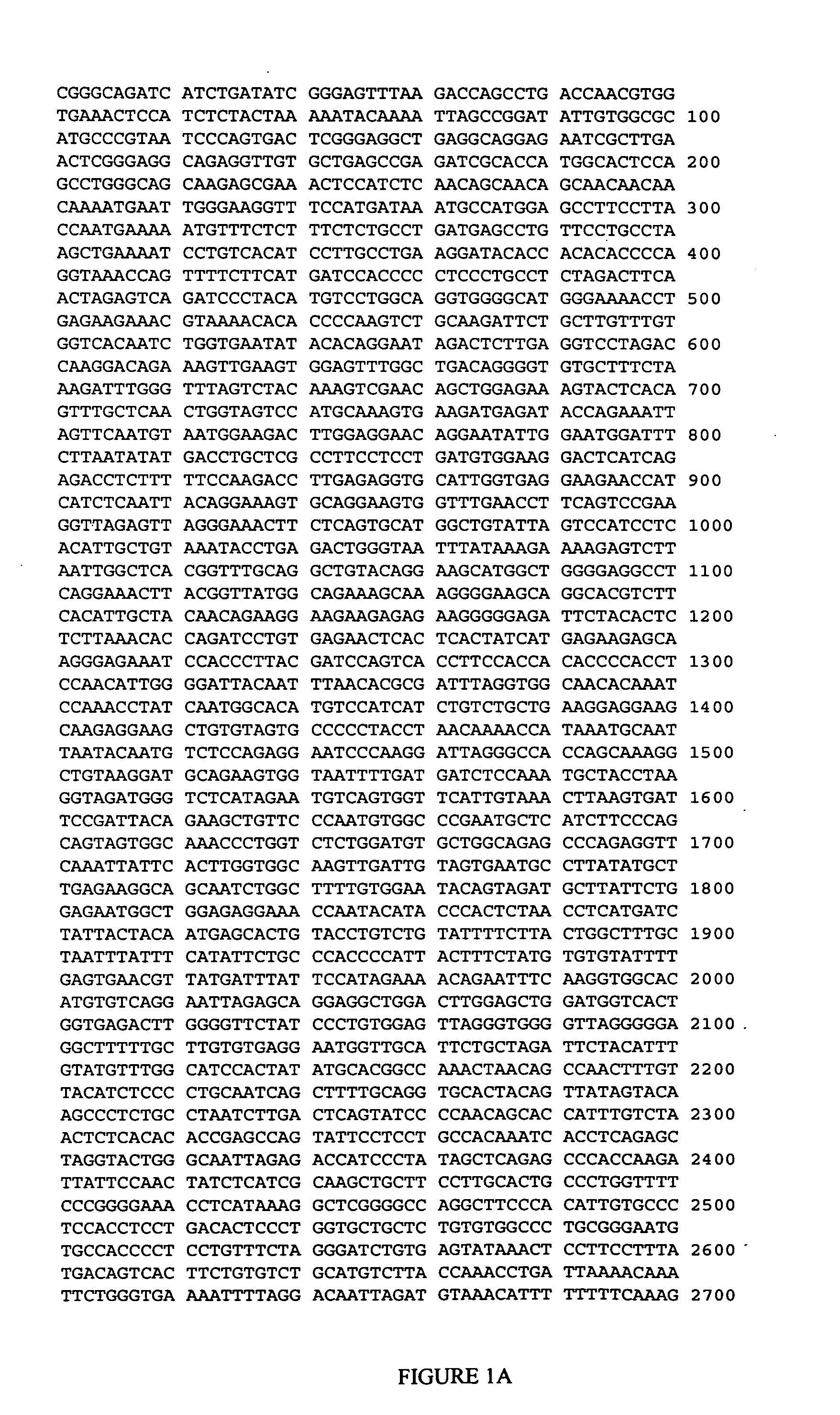 CHRNA2 genetic markers associated with galantamine response