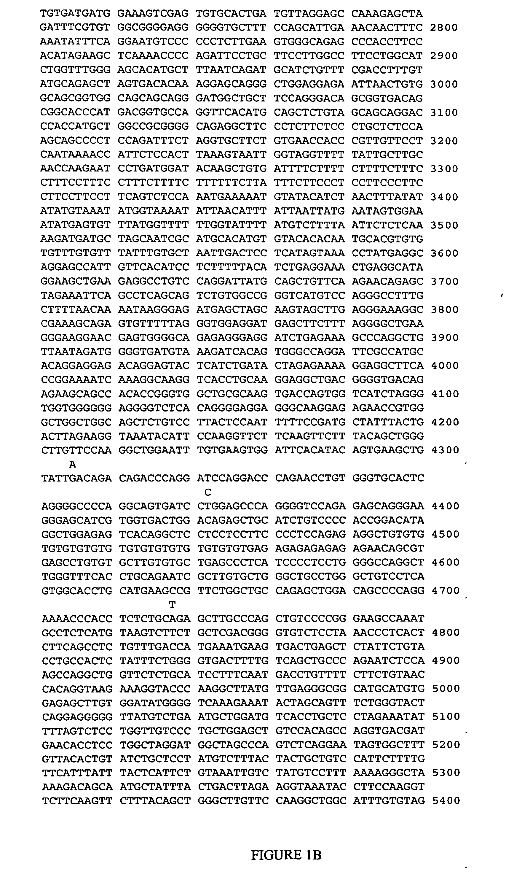 CHRNA2 genetic markers associated with galantamine response