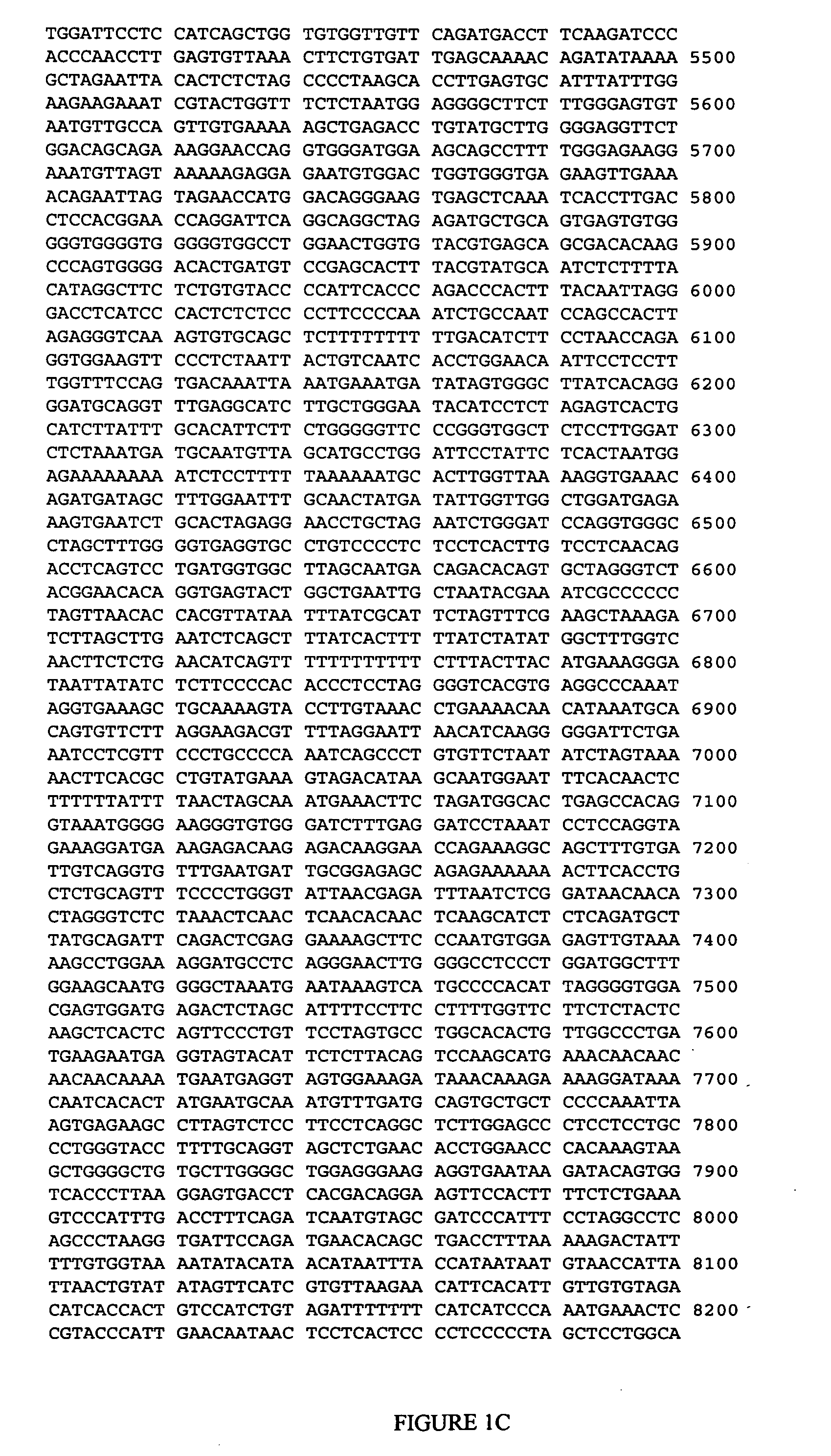 CHRNA2 genetic markers associated with galantamine response