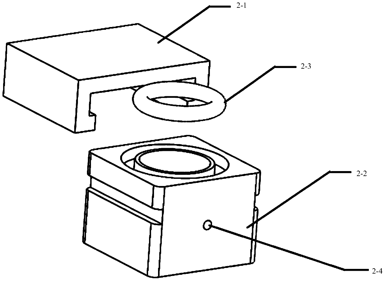 A micro-channel device for automatic conveying and posture adjusting of young zebra fish