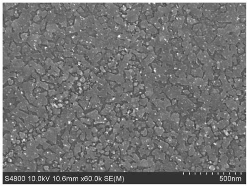 Transition metal chalcogenide film and preparation method and application thereof