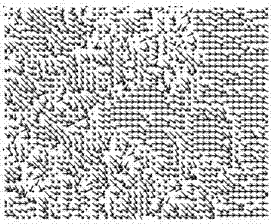 Video stream motion vector calculation method