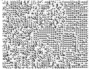 Video stream motion vector calculation method