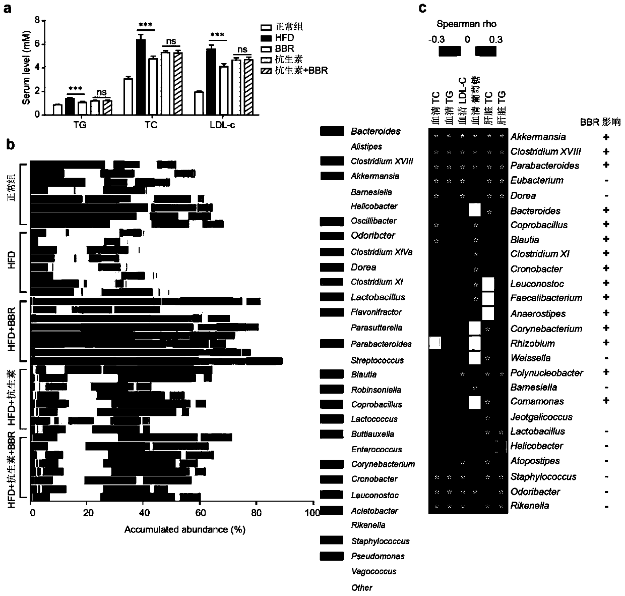 Application of blautia producta to preparation of products for strengthening treatment efficacy of blood lipid reducing drugs on hyperlipemia