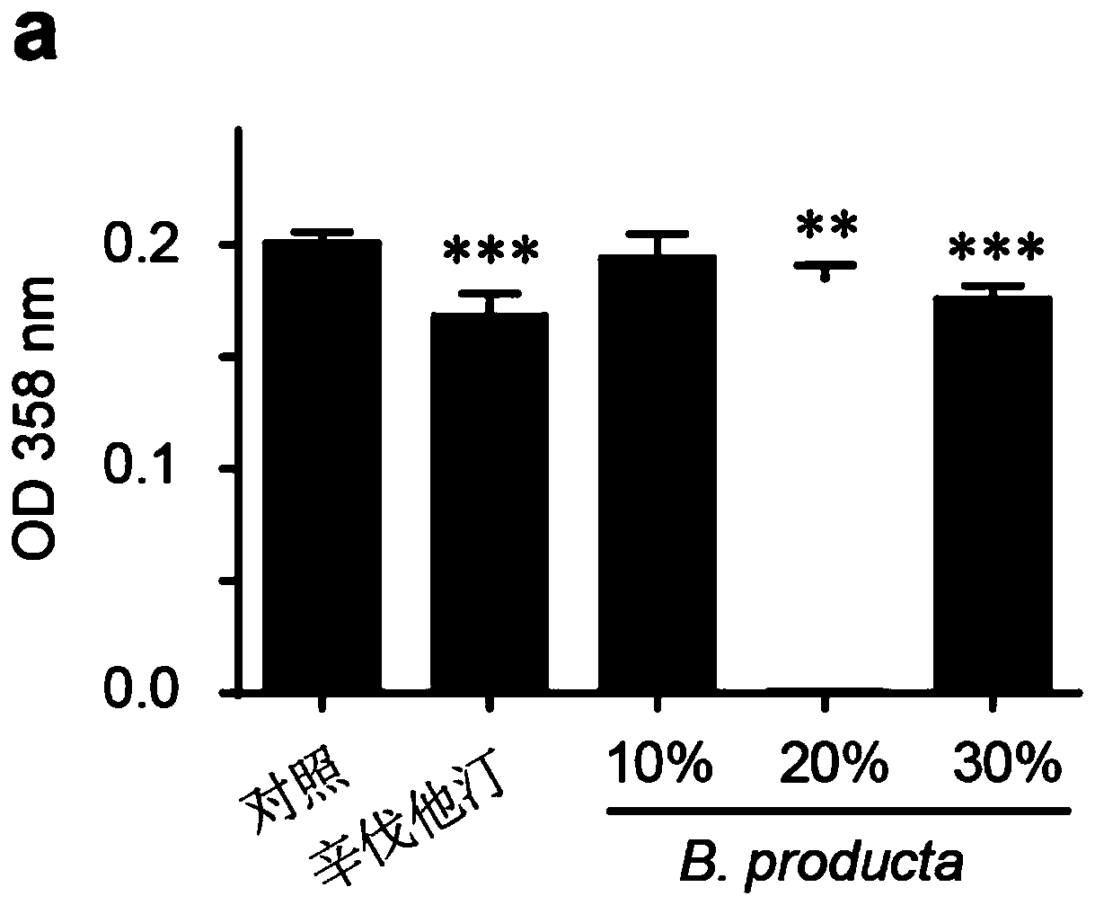 Application of blautia producta to preparation of products for strengthening treatment efficacy of blood lipid reducing drugs on hyperlipemia