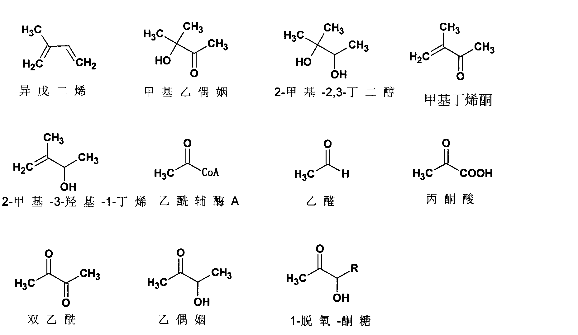 Recombinant cell and method for synthesizing methyl acetoin and derivative compounds thereof by using biological method