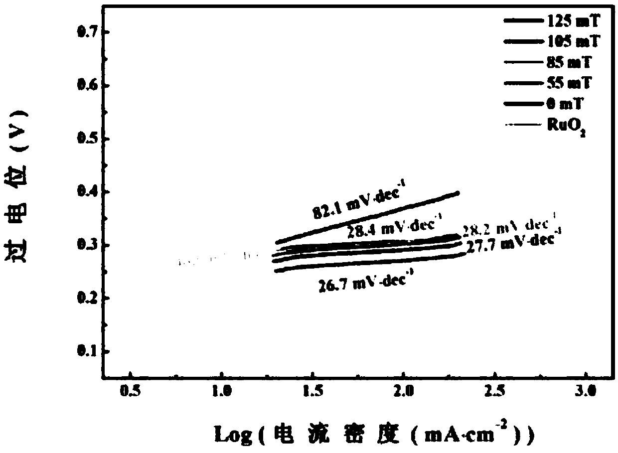 Electrolyzed water reaction device with externally applied magnetic field and method for improving electrocatalytic properties