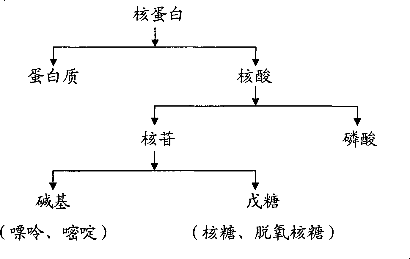 Cancer treating medical composition, preparation and uses thereof