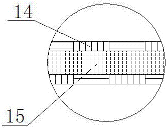 Automatically-controlled ice bonsai and control method