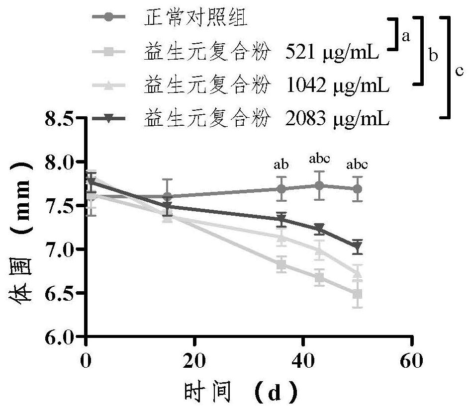 Berry-flavor composite powder solid beverage and preparation method thereof