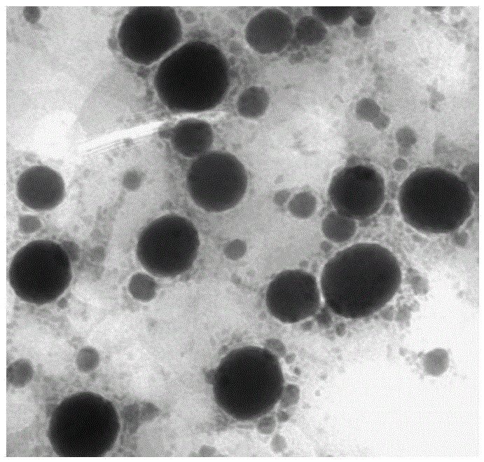 Solid lipid nanoparticles loaded with curcumin and piperine and preparation method thereof