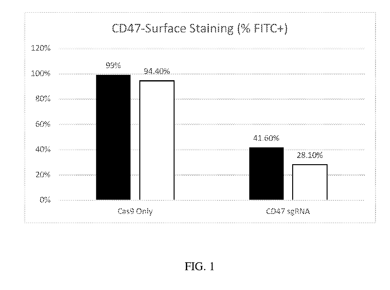 Gene editing and targeted transcriptional modulation for engineering erythroid cells