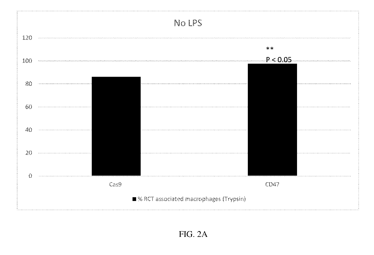 Gene editing and targeted transcriptional modulation for engineering erythroid cells