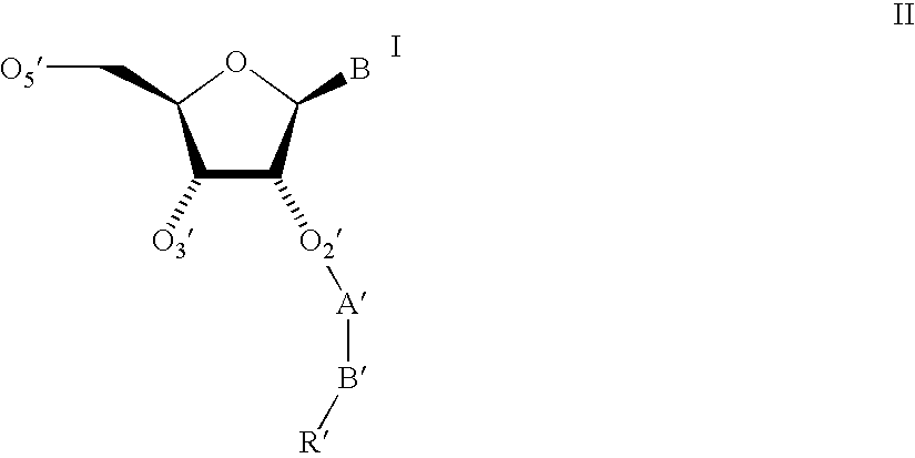 Oligonucleotides having A-DNA form and B-DNA form conformational geometry