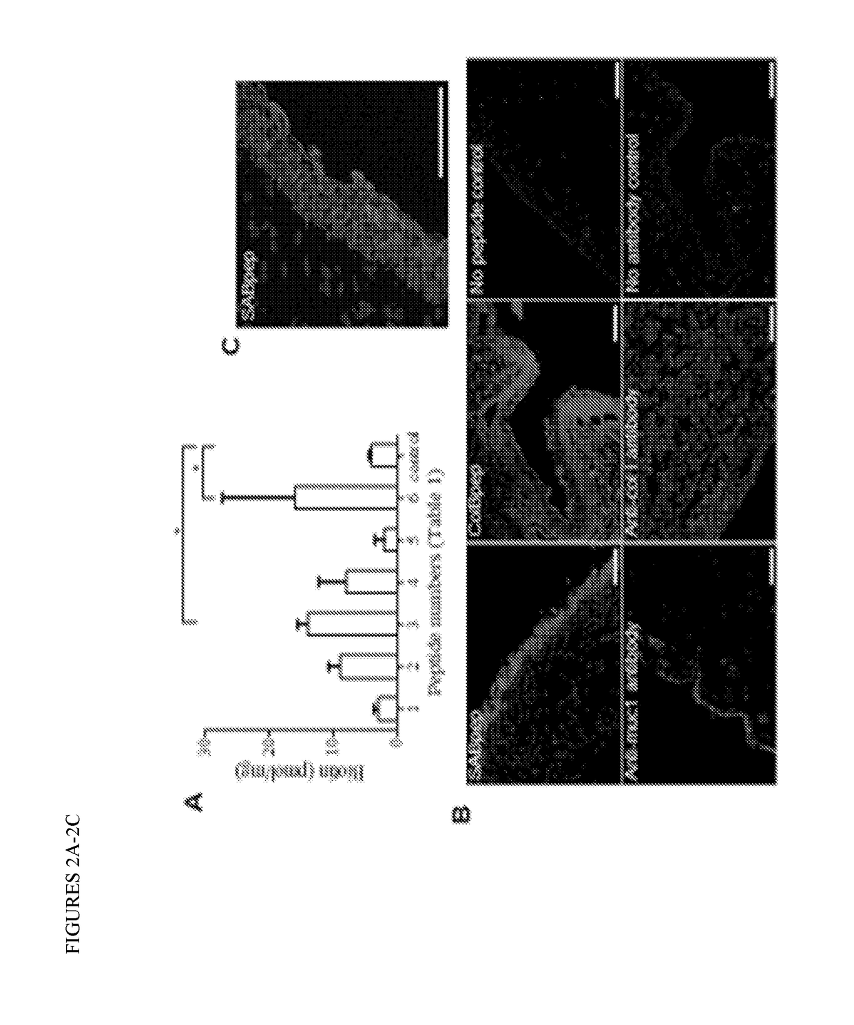 An eye drop solution for enhanced hyaluronic acid retention and delivery