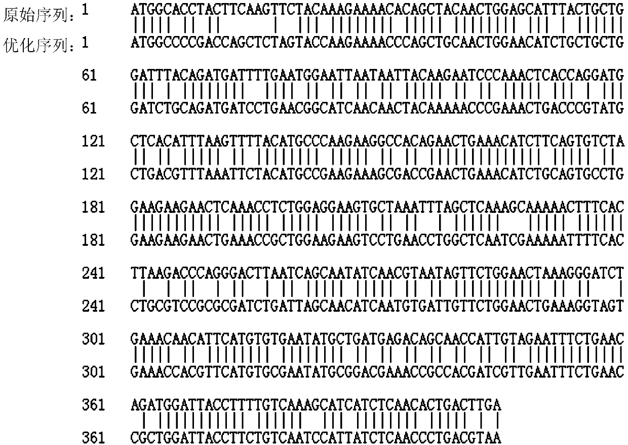 A method for optimizing the nucleotide sequence and efficient soluble expression of recombinant human interleukin-2