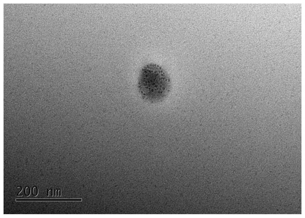 Targeting peptide modified gold cluster iron oxide assembly material radiotherapy sensitizer