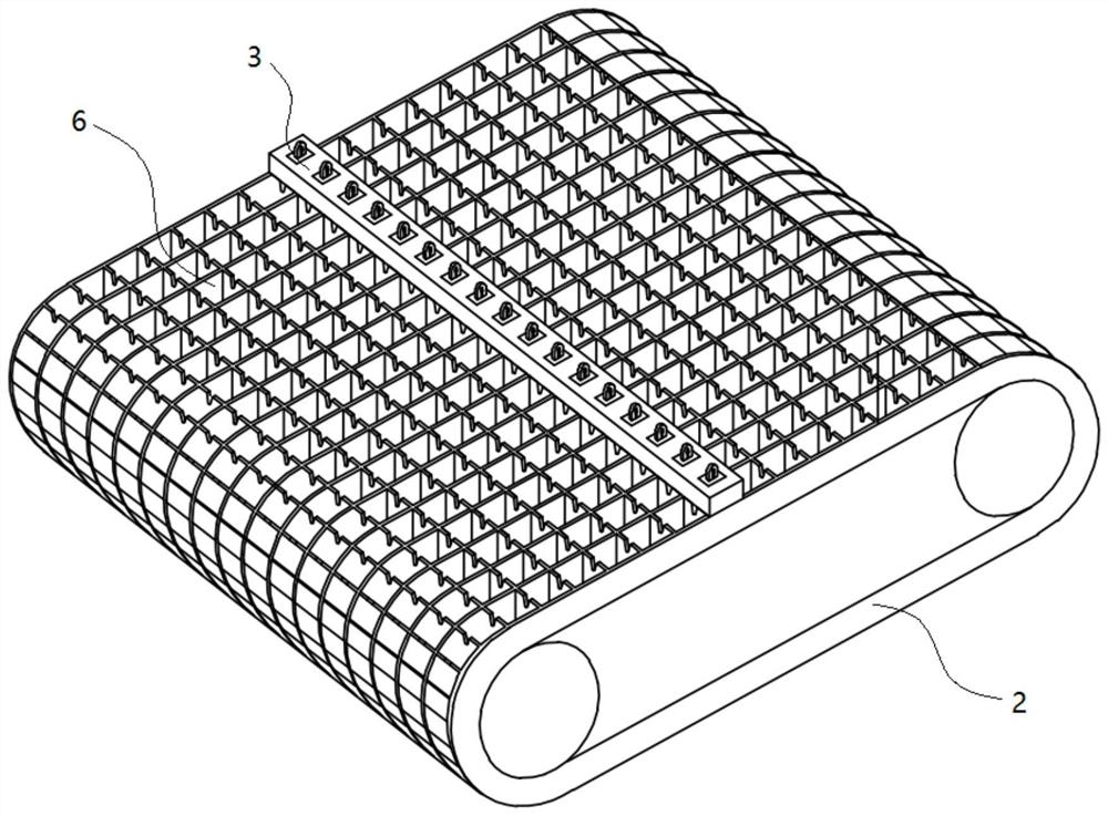 Berry skin scratching device