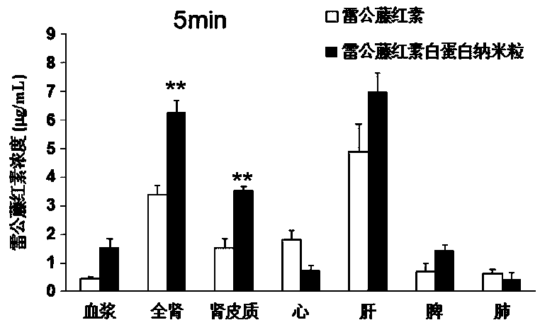 A kind of glomerulus-targeted protein nanoparticle pharmaceutical composition and its application