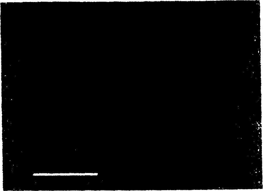 Method for preparing titanium dioxide film under room temperature