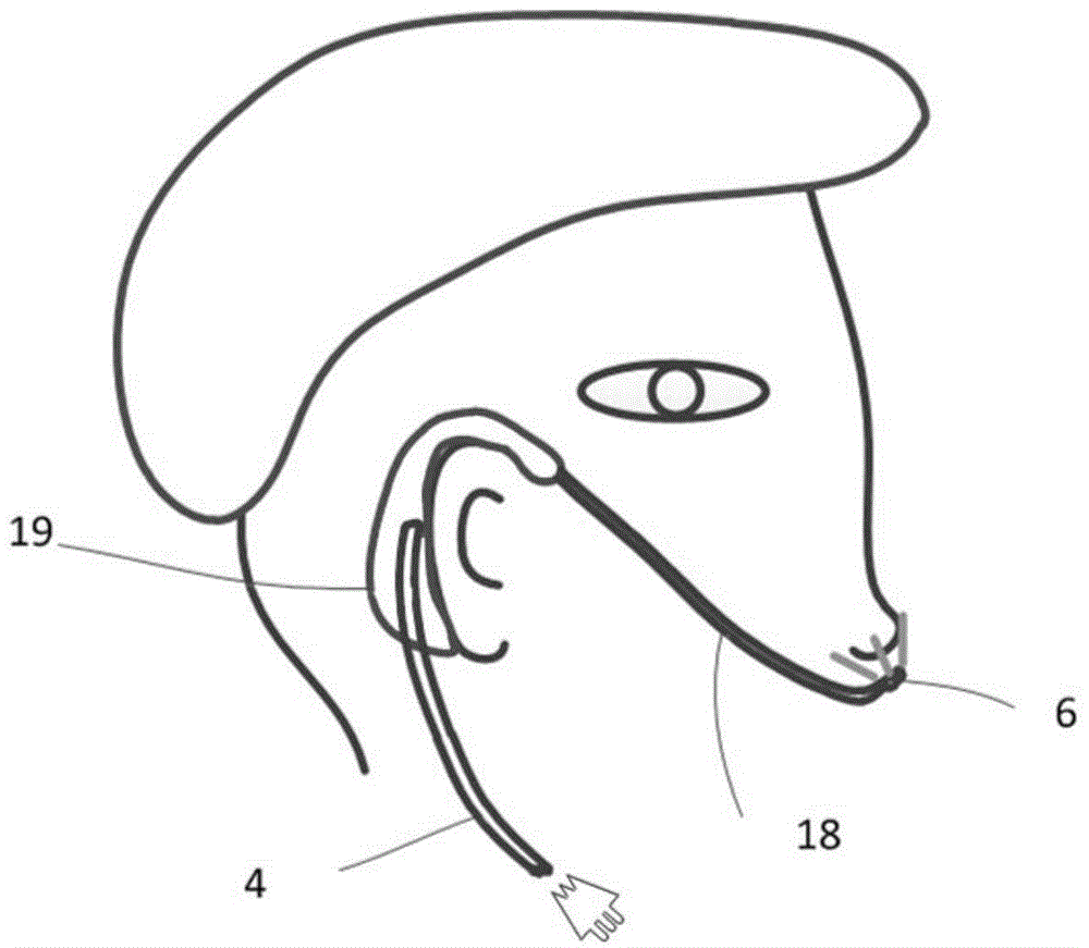 Wearable air purifying device and air purifying method