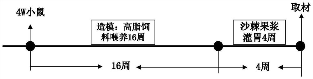 Effect and application of plant fruit pulp in protection of male fertility