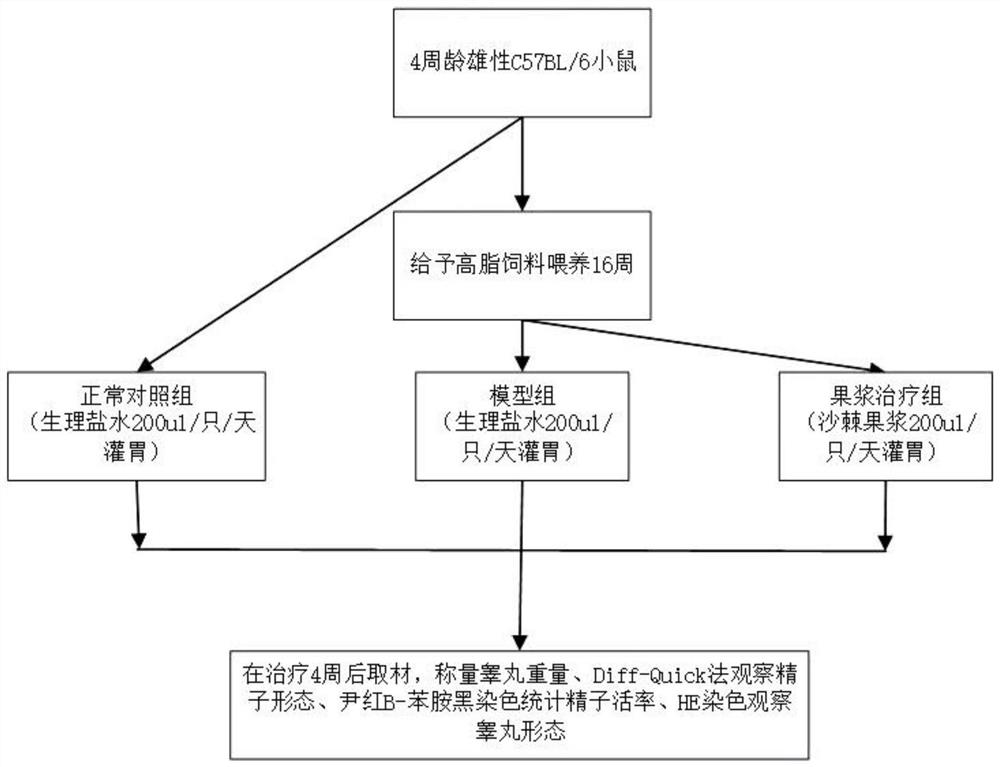 Effect and application of plant fruit pulp in protection of male fertility