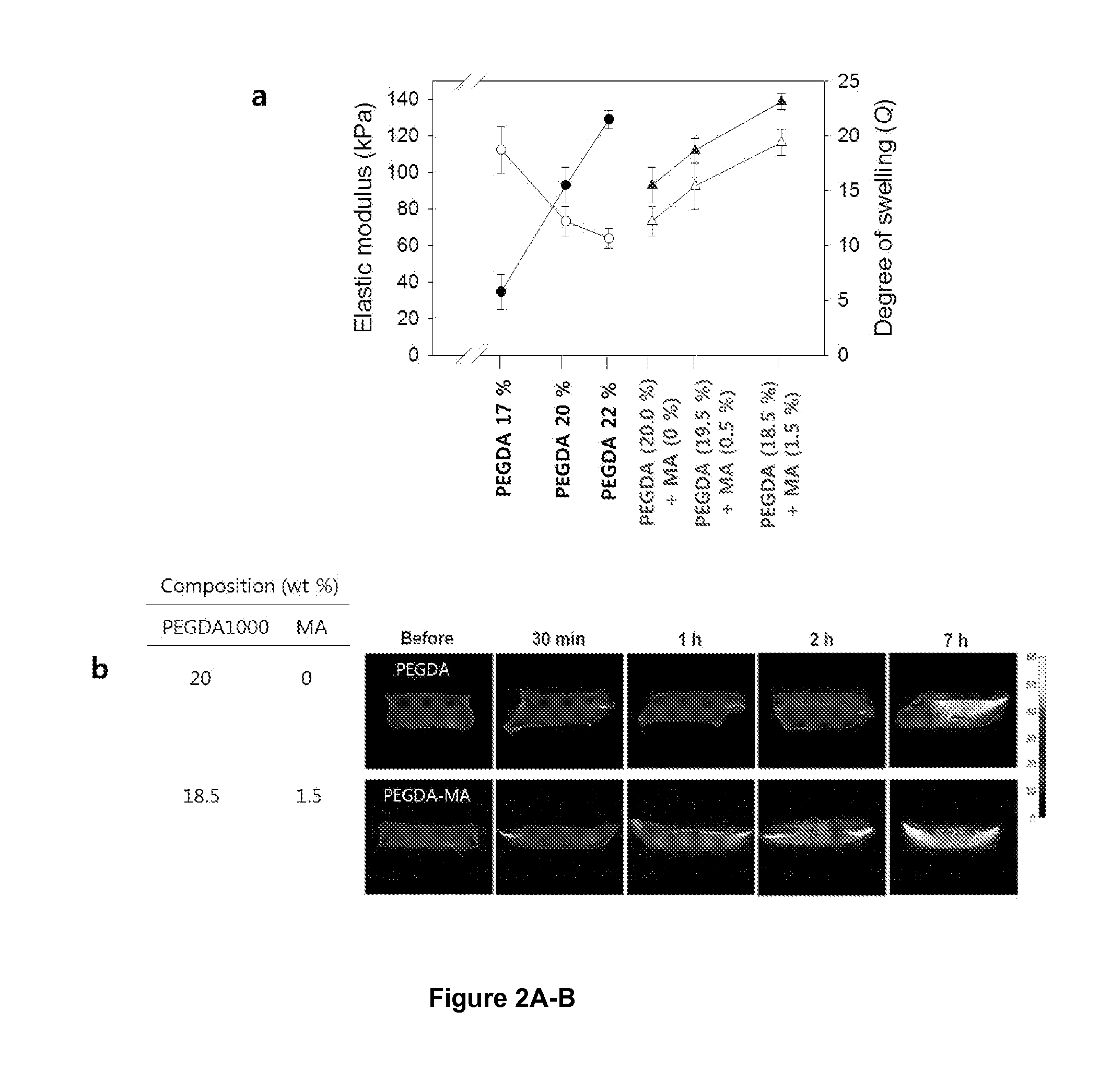 Microvascular stamp for patterning of functional neovessels