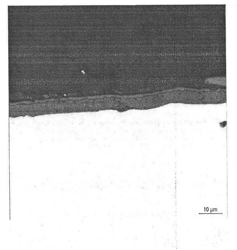 Control method of softness of oxide scales on surface of hot-rolling strip steel