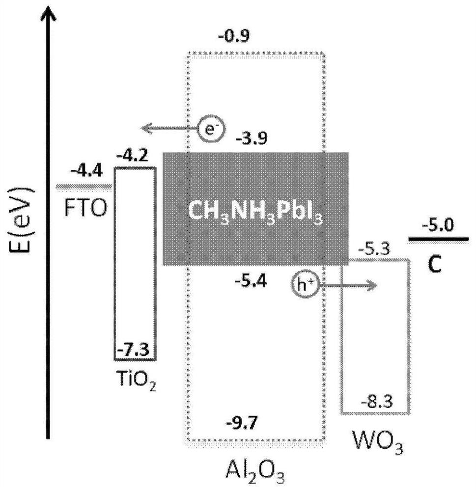 Mesoporous carbon electrode for carbon-based perovskite solar cells and preparation method thereof