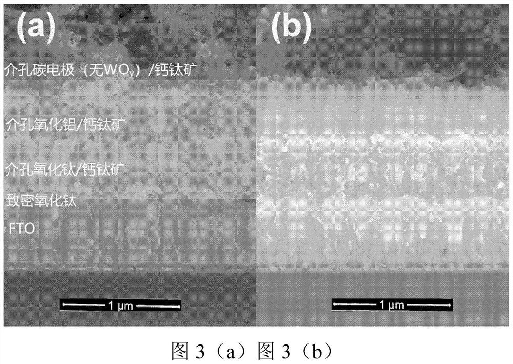 Mesoporous carbon electrode for carbon-based perovskite solar cells and preparation method thereof