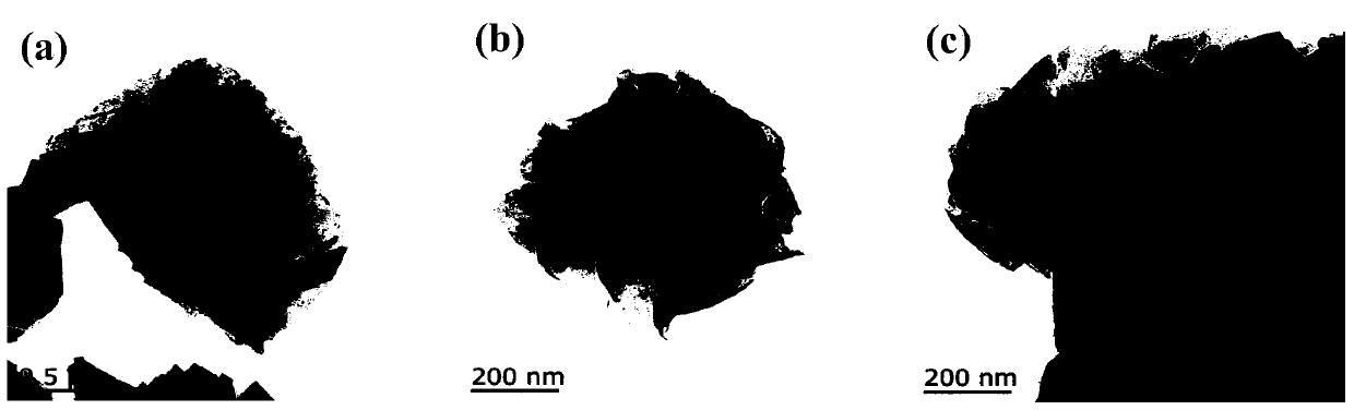 A kind of molybdenum disulfide/tin niobate composite nanomaterial and its application