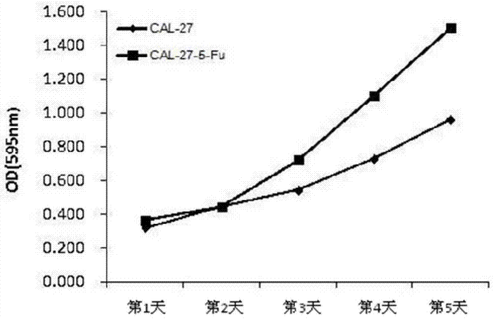 Human oral squamous cell carcinoma cal‑27‑hcpt drug-resistant cell line