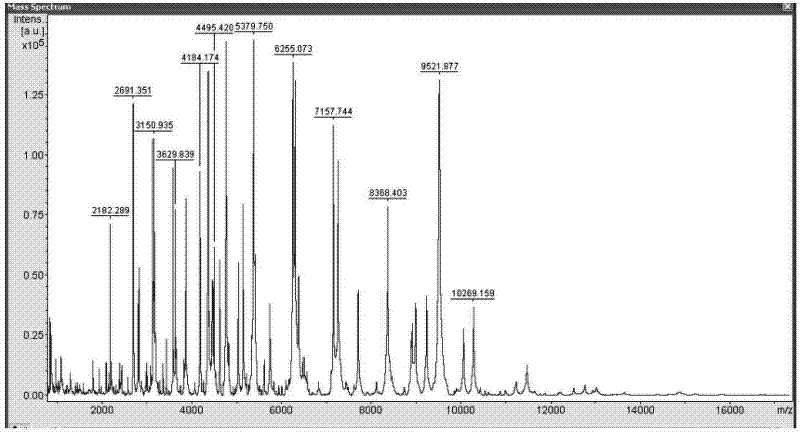 Construction method for MALDI-TOF-MS database of common pathogenic bacteria in food and animal products