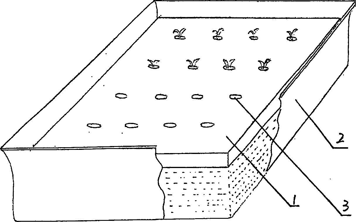 Plant floating cultivation method and special-purpose equipment