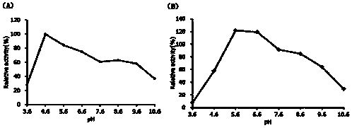 An endo-β-1,3-glucanase coding gene, enzyme, preparation method and application thereof