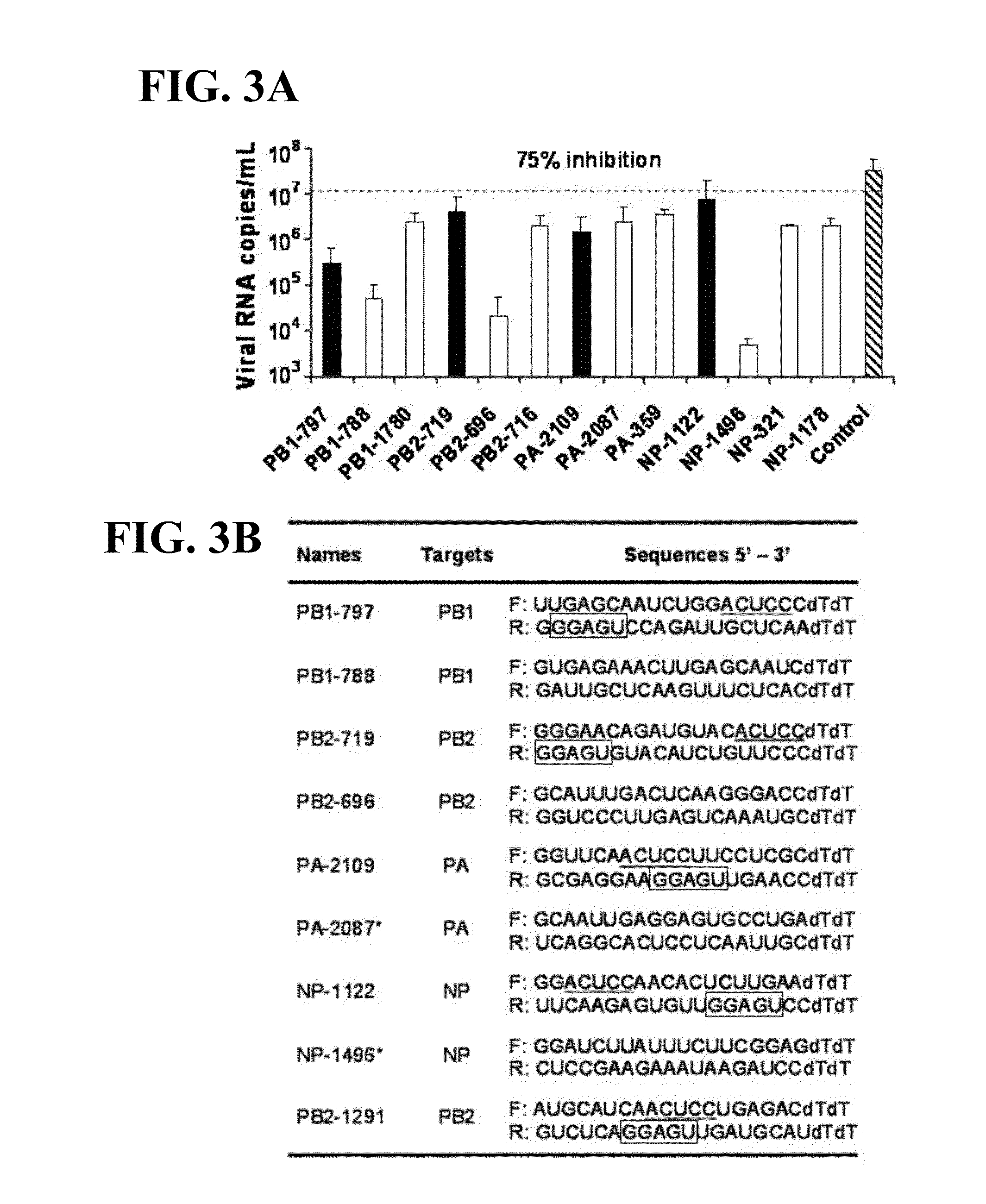 siRNA Compositions and Methods for Potently Inhibiting Viral Infection