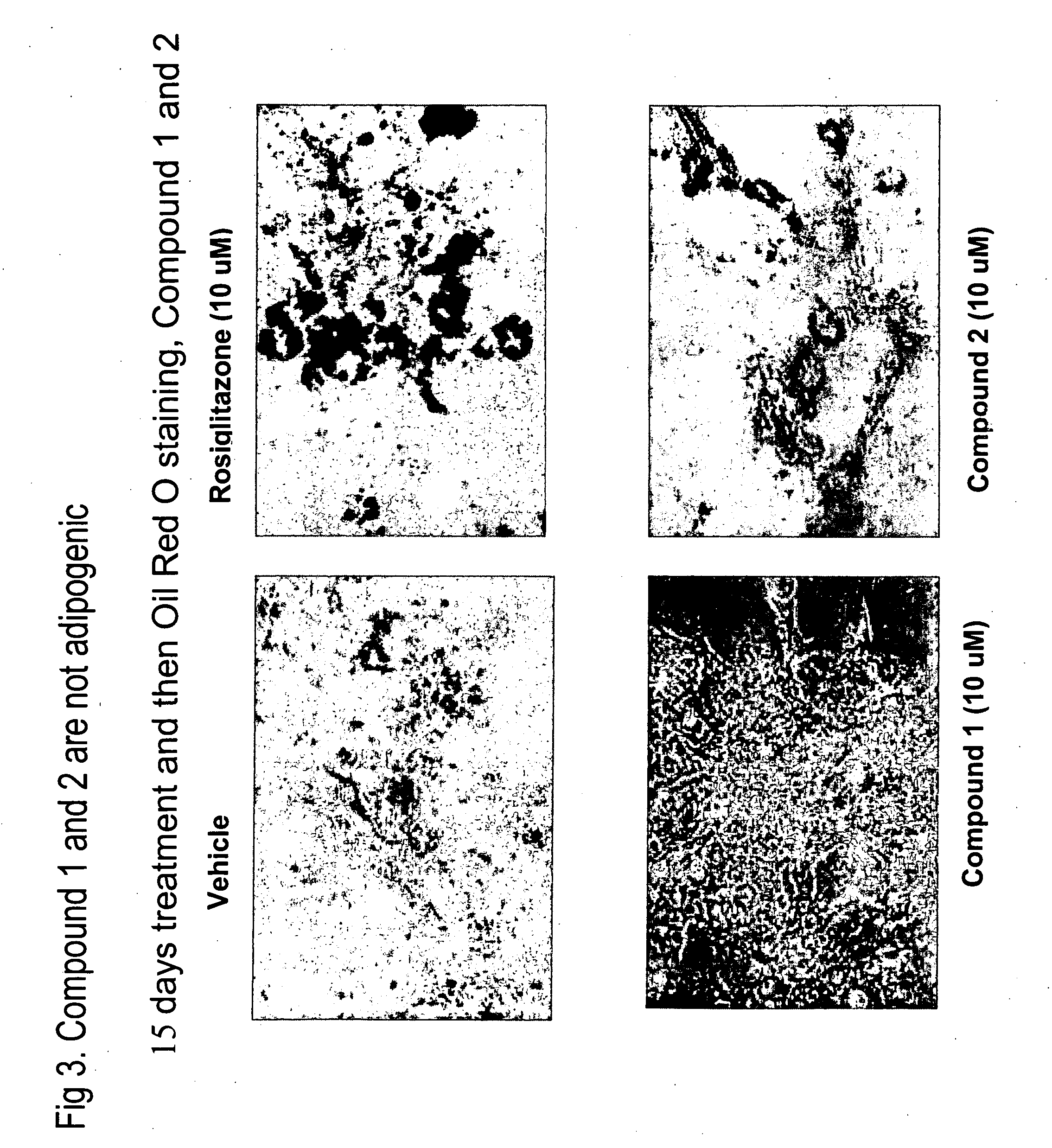 Novel heterocyclic diphenyl ethers